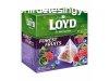 Loyd piramis tea 20*2g Forest fruit