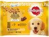 Pedigree Dog alutasakos 4*100g Junior Csirke-marha, Mj-rizs