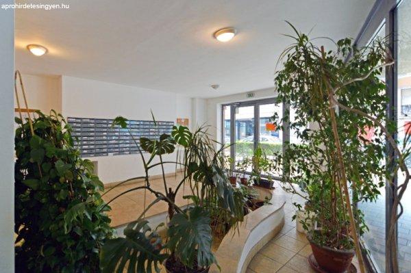 Budapest IX., 320 m2, 1200000 HUF [1786_5908]