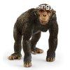 Schleich Csimpnz