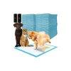 Higiniai bett 60x40cm 100 db Purlov 21599