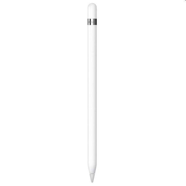 Apple Pencil (1. gen.) + USB-C Adapter