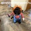 Halloween Deadly Doll Kisllat kutya jelmez