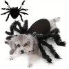 Halloweeni pk jelmez macskknak s kis/kzepes kutyknak