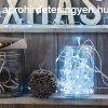 Fnyfzr - 50 db LED - hidegfehr - hlzati - 5 m - 8 prog