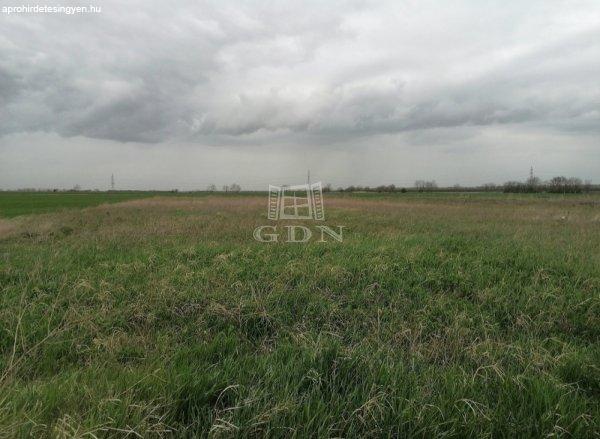 Eladó telek Besnyő, 	Dankó Pista utca