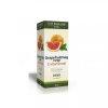 INTERHERB GRAPEFRUITMAG CSEPP C-VITAMINNAL 20 ml