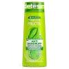 Fructis sampon 250ml Antidantruff Reg.