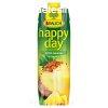 Happy Day Anansz 100% 1l TETRA