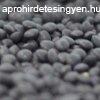 Greenmark bio beluga lencse fekete 500 g