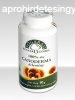 Fogarasi Ganoderma rlemny 10 g