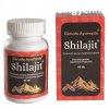 Garuda ayurveda shilajit kapszula vegetrinus 60 db
