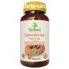 BioMen BIO GANODERMA kapszula 60 db 440 mg-os kapszula
