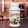 Netamin Galagonya-kivonat 400 mg kapszula