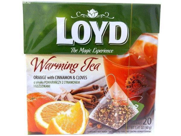 Loyd Hot tea 20*2g Narancs-fahéj