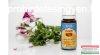 Gernium illolaj 10 ml