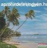 Kvi Szabolcs: Kk tenger meditci CD