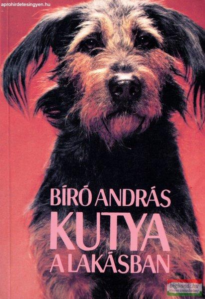 Bíró András - Kutya a lakásban