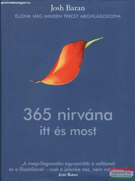 Josh Baran - 365 nirvána itt és most