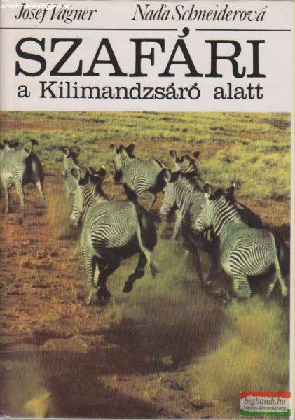 Josef Vágner, Nada Schneiderová - Szafári a Kilimandzsáró alatt