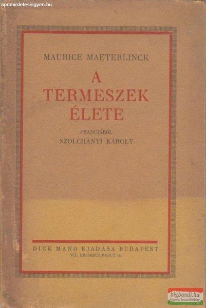 A termeszek élete