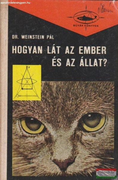 Hogyan lát az ember és az állat?