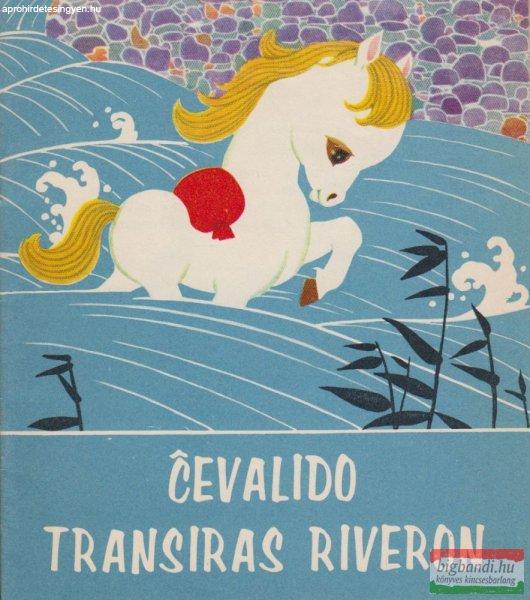 Ming Jang - Cevalido Transiras Riveron