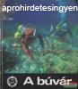 Dr. Izs Zoltn, Juhsz Andor, M. Trknyi Herta ford. - A b
