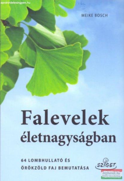 Meike Bosch - Falevelek életnagyságban