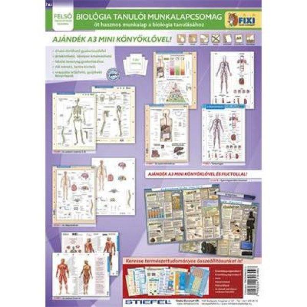 Tanulói munkalap csomag, 5 munkalap, 1 alátét, filc, STIEFEL
"Biológia"