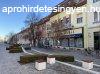 Kiad zlethelyisg Hdmezvsrhely, 	Kiad zlet a stl 