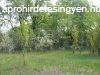 Elad fldterlet Kecskemt, 	54 sz. ft mentn