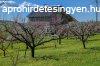Elad fldterlet Edelny, 	Isten-hegy