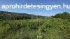 Elad fldterlet Solymr, 	Sirly utca