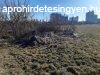 Elad trsashz Martf, 	Martf ipari terlet kedvez ron