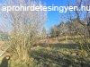 Elad telek Zalaegerszeg, 	Panorms ptsi terlet!