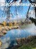 Elad telek Szigetcsp, 	Dunasor t