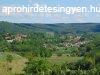 Elad fldterlet Balatonendrd, 	reghegy dl