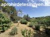 Elad telek rd, 	Parkostott, Panorms, rdligeten