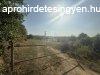 Elad telek Bocflde, 	Elad Motocross s Enduro plya!