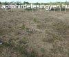 Elad telek rd, 	Telek csendes krnyezetben