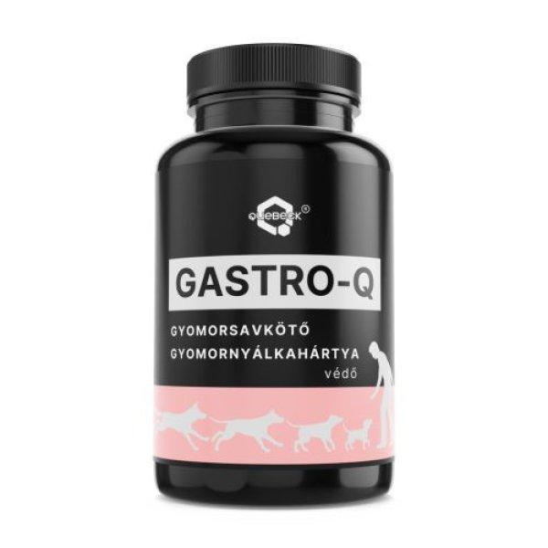 Quebeck Gastro-Q gyomorsavkötő, gyomornyálkahártya védő por 50 g