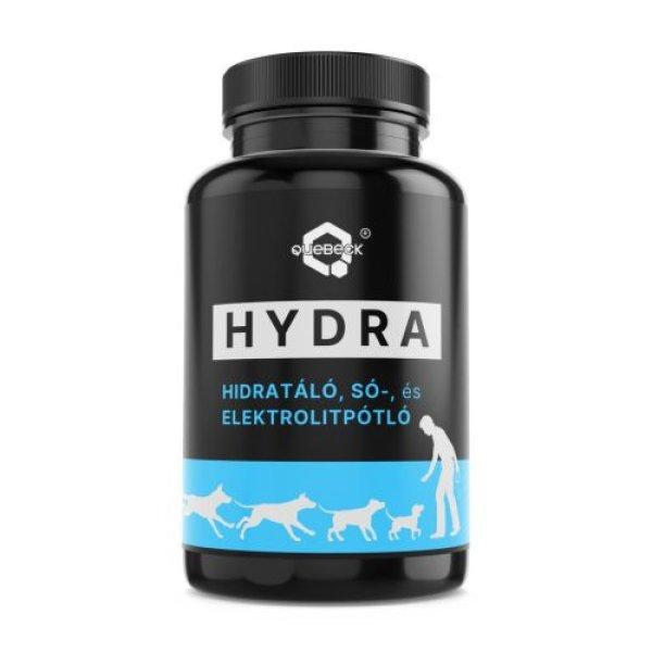 QUEBECK UnbelievABLE Hydra rehidratáló, sópótló kutyáknak 50g