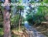 Elad telek Nagyberny, 	Vidki Idill