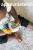 Bright Starts - BABY EINSTEIN Zenl jtk Take Along Tunes 