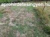 Szikssfrdi ptsi telek | - Szeged
