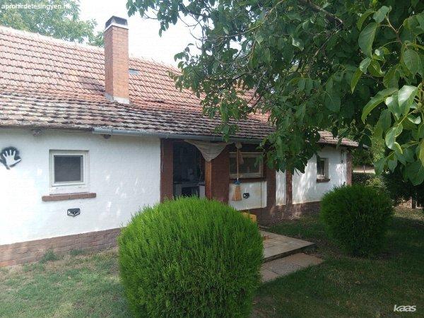Erdei tanya | Ásotthalom kissori 60 nm-es erdei tanya