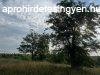 Elad panorms zrtkert a nyaral vezetben Igalban!