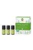Primavera Aroma elsseglycsomag 3 x 5 ml