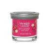 Yankee Candle Illatgyertya Signature tumbler Red Raspberry 1